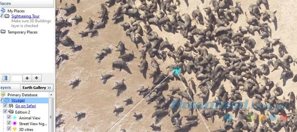 Khám phá thế giới hoang dã