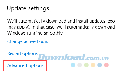Click vào liên kết Advanced Options