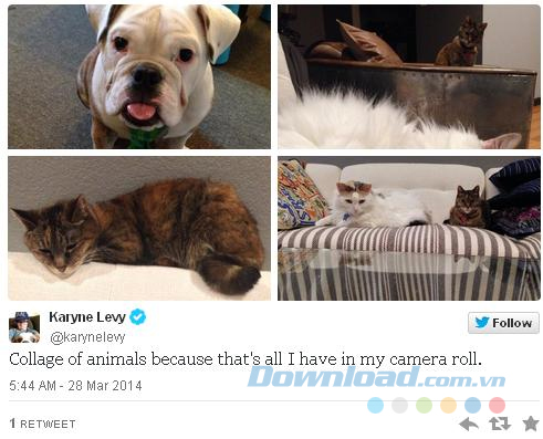 Tweet ảnh Tweet ảnh