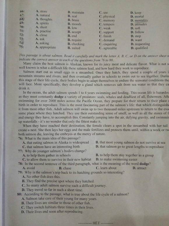 Đề thi tuyển sinh vào lớp 10 môn Tiếng Anh