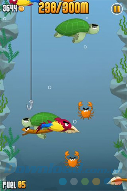 Ninja Fishing Ninja Fishing