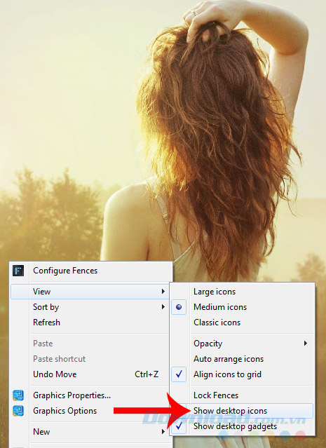 Show desktop icons