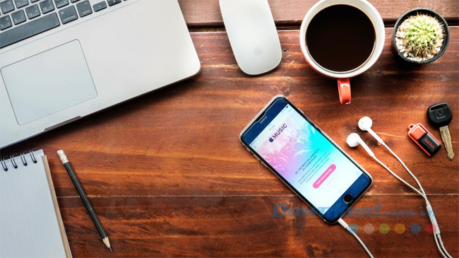 Thưởng thức offline