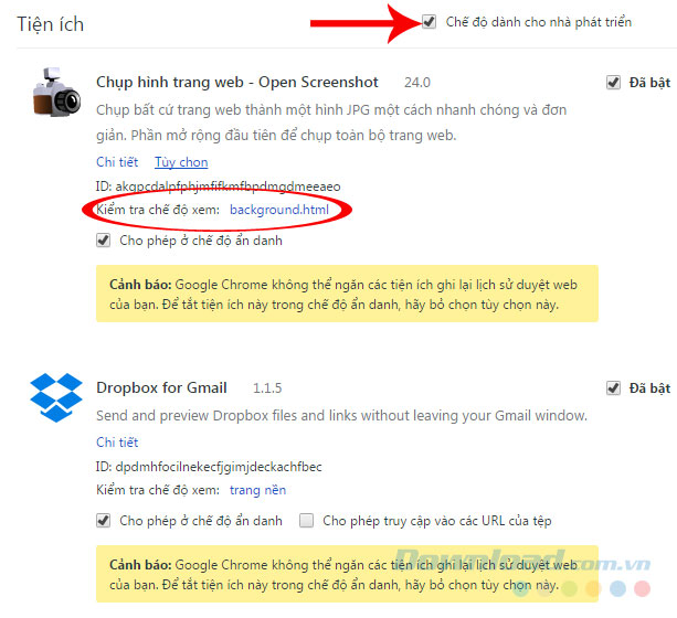 Chế độ phát triển