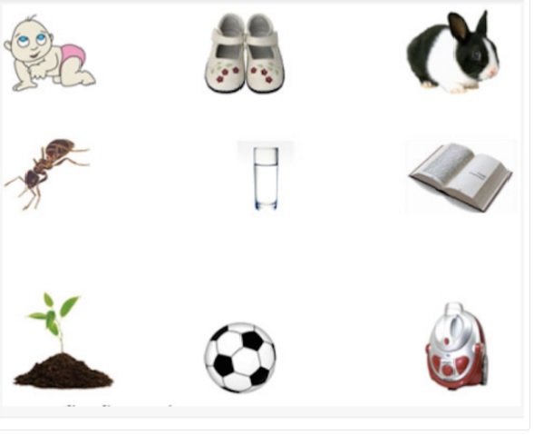 Cấu trúc bài kiểm tra đầu vào lớp 1