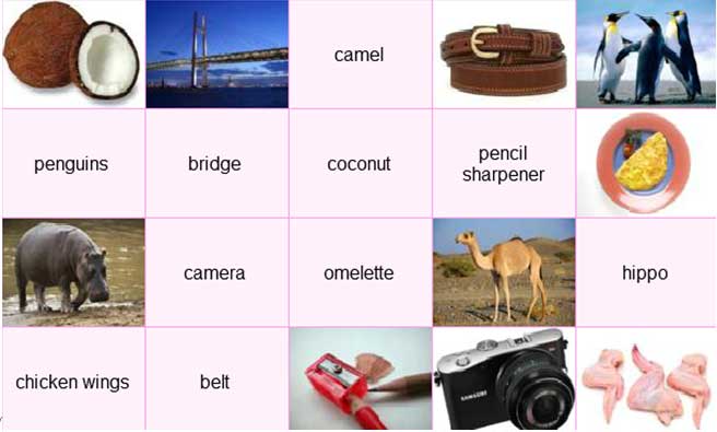 Đề thi IOE lớp 5 cấp quốc gia