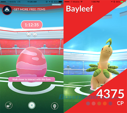 Hiểu cấp độ Raid và độ hiếm