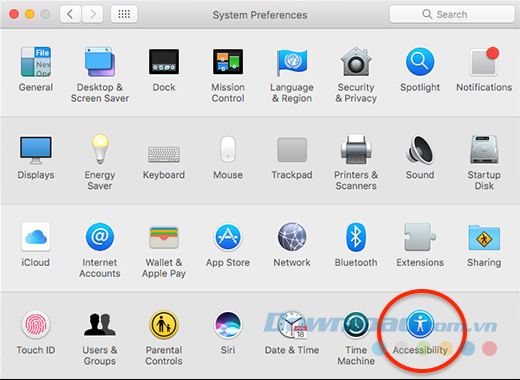 Mở System Preferences và chọn Accessibility