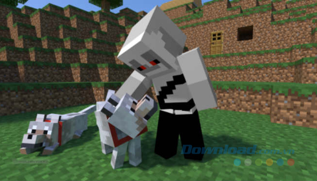 Cho chó sói hoạt động và làm việc với bạn