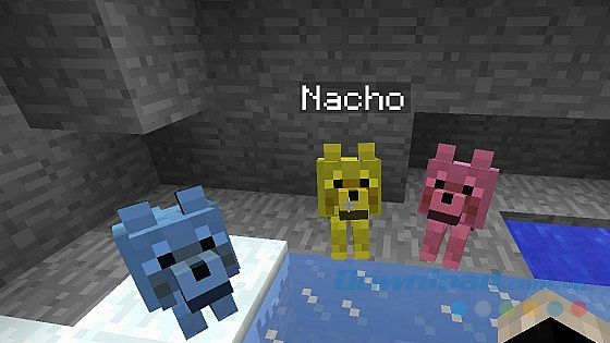  Đặt tên và mã màu