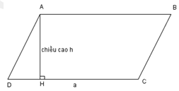 các dạng bài tập hình học lớp 4