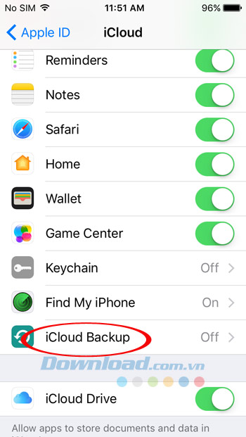 iCloud Backup