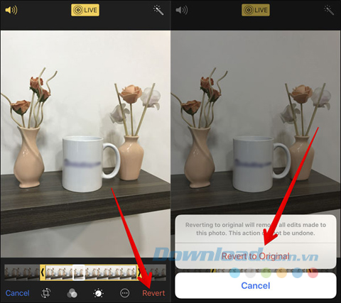 Hoàn lại ảnh gốc Live Photo trên iOS 11