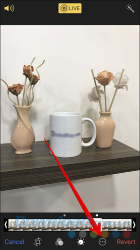 Ba dấu chấm nhỏ trong vòng tròn