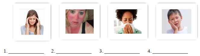 Đề kiểm tra 1 tiết môn tiếng Anh lớp 7 