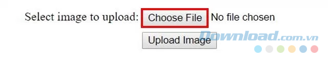 Click vào Choose file