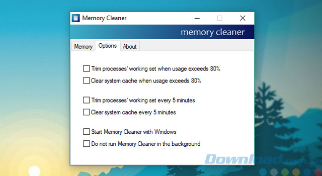 Memory Cleaner