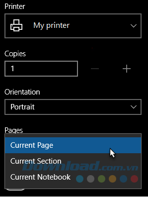 Phần Print và Notebooks