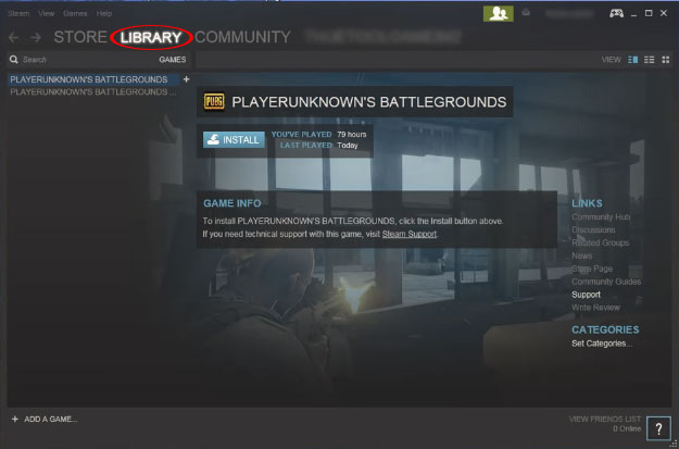 Steam
