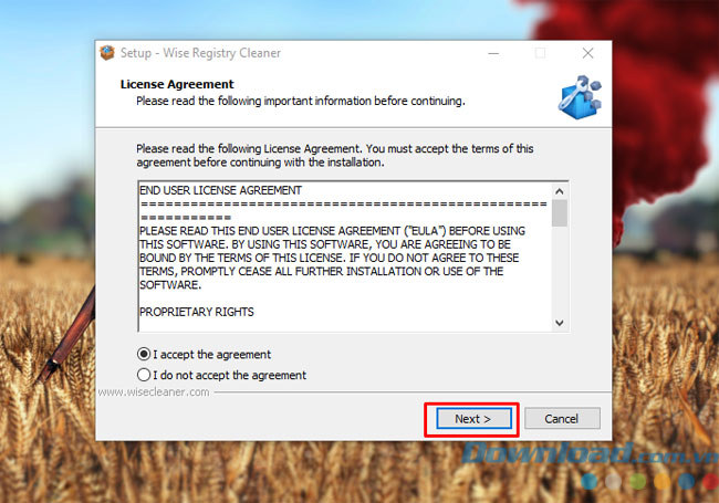 Wise Registry Cleaner