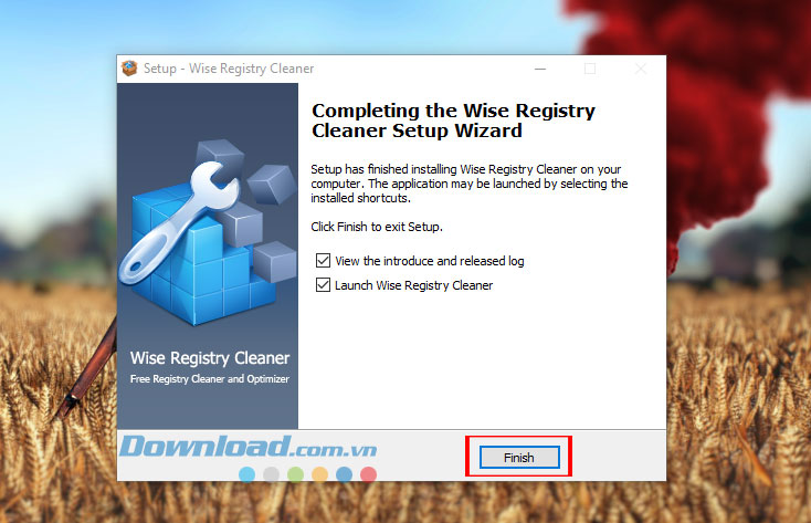 Wise Registry Cleaner