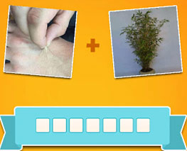 Đáp án game Tao Biết Tuốt câu 412