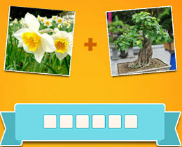 Đáp án game Tao Biết Tuốt câu 430