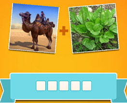 Đáp án game Tao Biết Tuốt câu 442