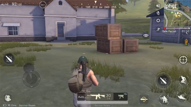 Survivor Royale