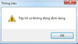 Lỗi tệp hồ sơ không đúng định dạng