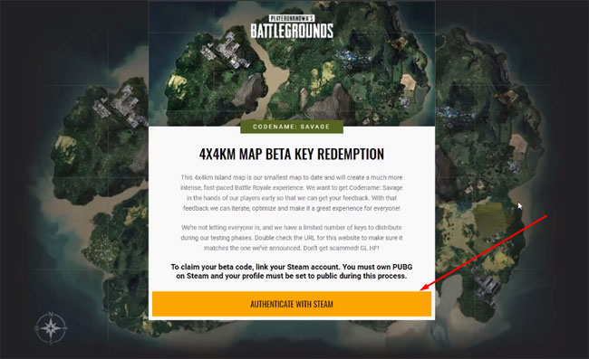 PUBG Key