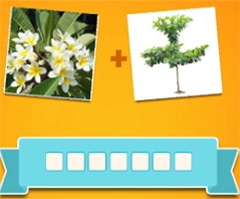 Đáp án Tao Biết Tuốt câu 831