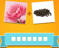 Đáp án Tao Biết Tuốt câu 881