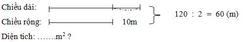 Các bài Toán điển hình lớp 5 và phương pháp giảng dạy Ôn tập Toán lớp 5