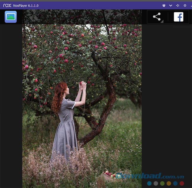 Hiển thị Hiển thị