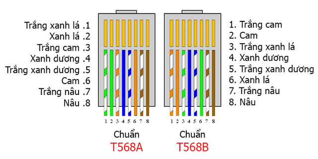 Các kiểu bấm dây mạng