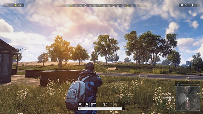 Những lỗi thường thấy khi chơi Ring of Elysium