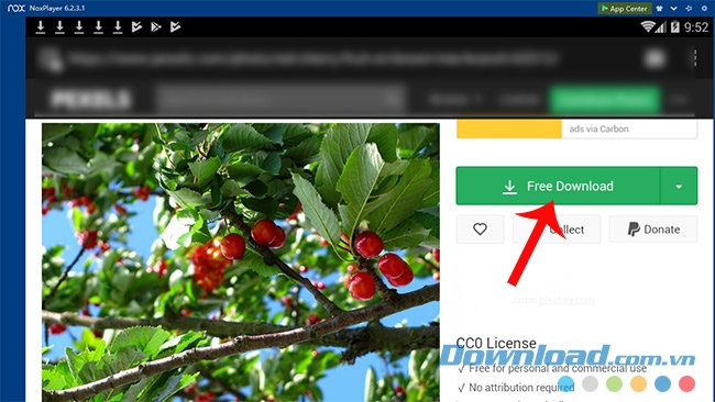 Download ảnh trực tiếp từ web
