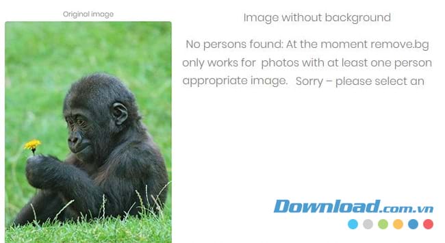 Ảnh lỗi không thể nhận diện 