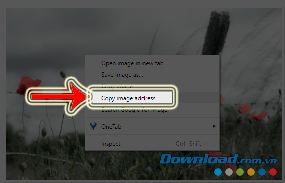 Copy đường dẫn ảnh