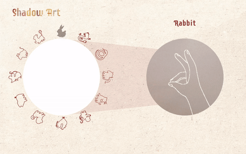 Shadow Art