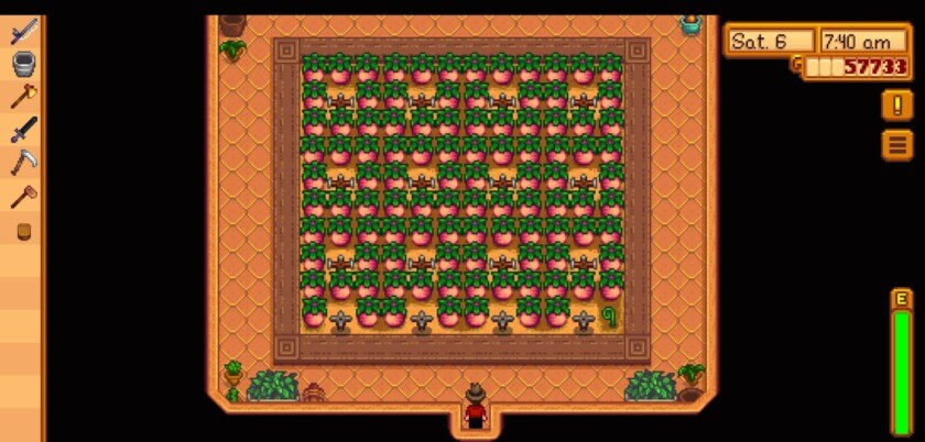 Lựa chọn cây trồng tốt nhất trong Stardew Valley