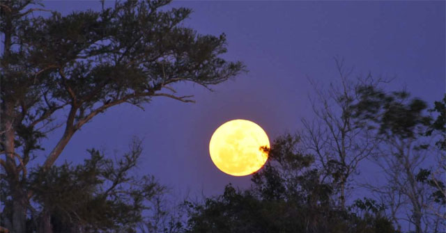 Suy nghĩ về khổ thơ kết thúc bài Ánh trăng 