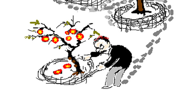 Giải thích câu “Ăn cây nào rào cây nấy”