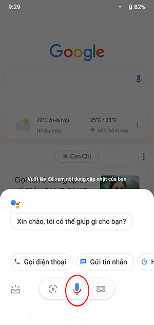 Câu lệnh văn bản