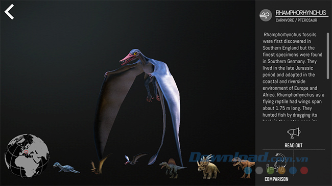 Mô hình khủng long bay