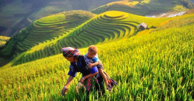 Hình ảnh người mẹ trong bài thơ Khúc hát ru những em bé lớn trên lưng mẹ