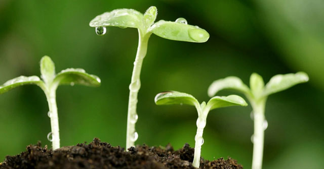 Nghị luận về khát vọng trong cuộc sống