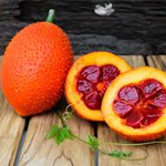 Tập làm văn lớp 5: Tả một giàn cây gấc (Dàn ý + 6 mẫu)