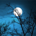 Bài văn mẫu lớp 9: Bút pháp xây dựng hình ảnh thơ trong các bài thơ Đồng chí và Ánh Trăng